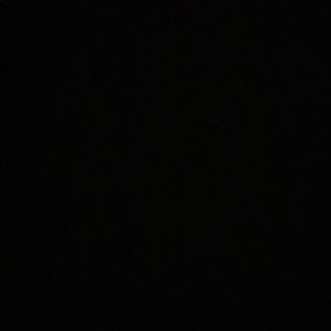 Meet your Posher, Leo